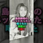 島田紳助のペットだったと噂された芸能人3選‼️ #芸能ネタ #雑学 #お笑い #お笑い芸人 #島田紳助