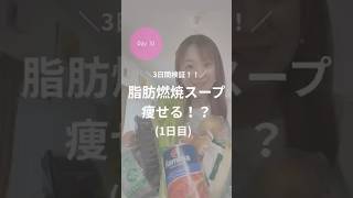 ダイエット31日目！脂肪燃焼スープは痩せる！？