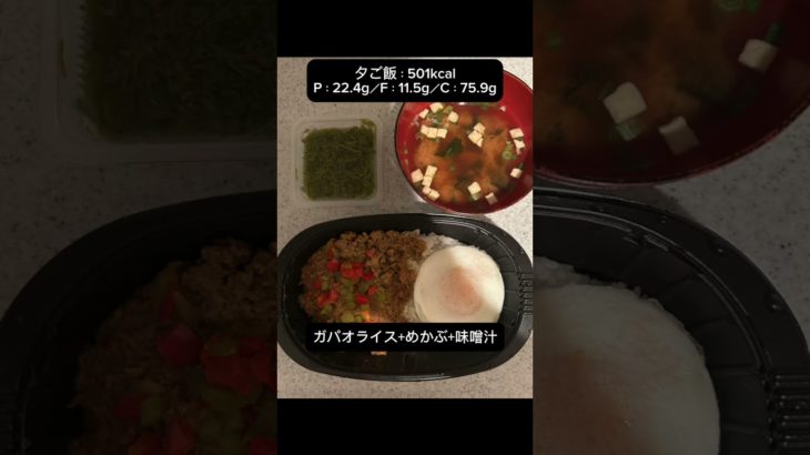 80kg→70kg目指す！減量33日目【ダイエットVlog】