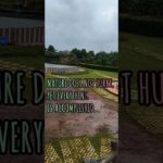 ✨A thing of beauty is a joy forever🌅🌦️🌲