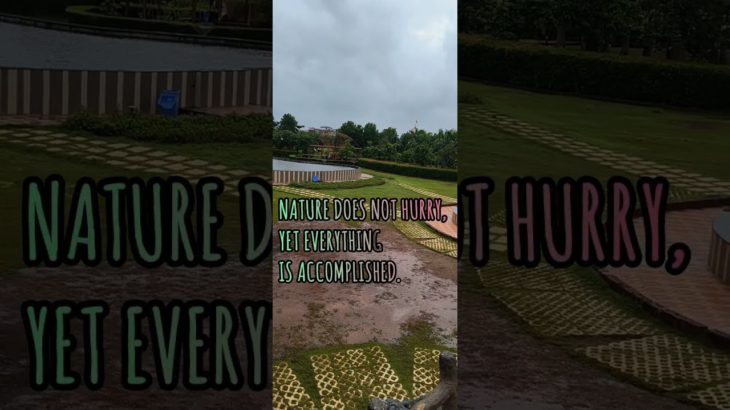 ✨A thing of beauty is a joy forever🌅🌦️🌲