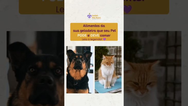 Alimentos para potencializar a saúde do seu pet | Vet Nutri Indica