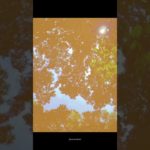 BEAUTY OF SUN 🌞#aesthetic#shortsfeed#shortvideo #shorts #shortvideo #sunset #sun #sunrise #youtube