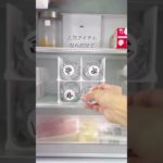 【DAISO収納アイデア】ペットボトルラックを“じゃない使い方”したら…タッパー収納が爆誕しました😳✨これは真似したくなるレベル👏 商品コード:4582570220706#DAISO購入品