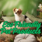 Eco Friendly Pet Products :