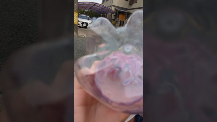 フィッシャーズ越す為にFANTA500mlを世界で2番目に早く飲んでみた