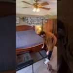 For Pete people, by pet people