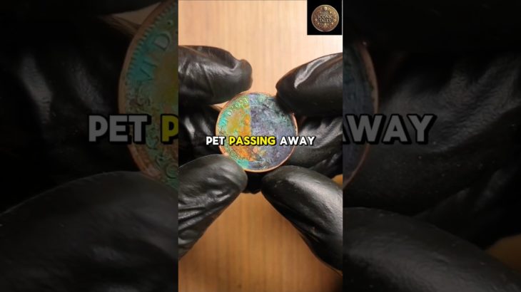 Have you ever heard of a pet passing away like this? @tyler.vitelli #asmr #shorts #storytime