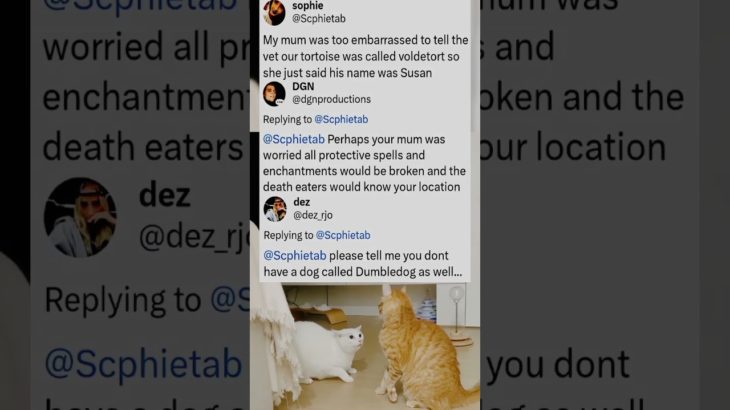 Imagine hiding your pet’s true identity at the vet 😭