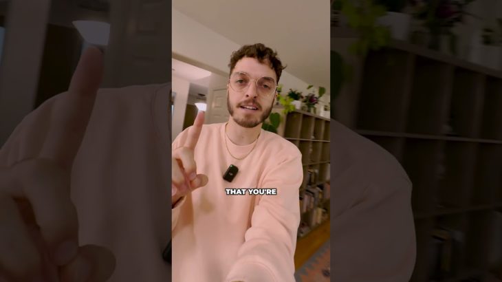 Link in our bio for the FREE Dog Food Ratings Spreadsheet ❤️🐾 #thebkpets #stellaandchewys