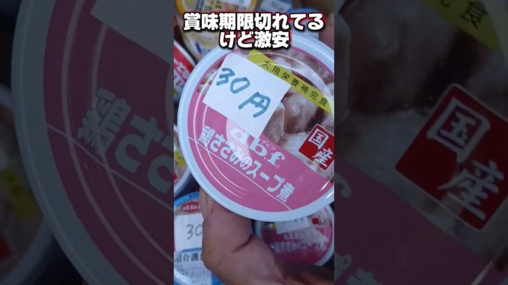 #エビスペット大国町店、現金クレカPayPay、激安、値段崩壊、ペットショップ、トリミングもやってます、一部フードロス#激安のゆーり、爆買いの人、自転車爆走、平良ゆーり#おすすめスポット