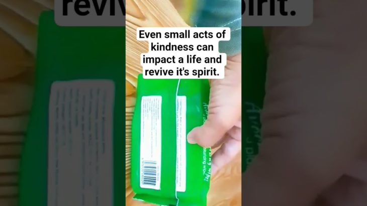 Pet Makeover – Kitty Rosy Minx