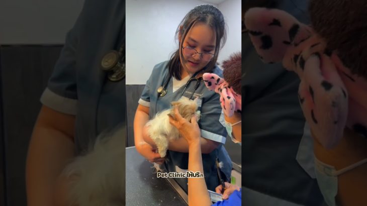 The Pet Safari at ICONSIAM