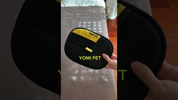 The most authentic review of pet hair brushes👏🏻 #cleaning #pethairremoval