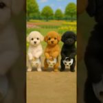 Toy poodle diaper dance #トイプードル #犬ダンス #ペットダンス #Toypoodle #dogdance