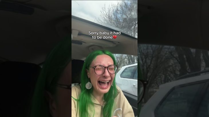 We will miss you baby ❤️🥹 #cat #pet