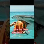 When Your Pet Shark Brings Back THIS 😂🦺