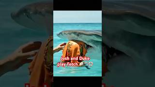 When Your Pet Shark Brings Back THIS 😂🦺