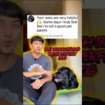 Why You’re Not a Bad Pet Parent | Dog Training Struggles