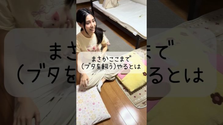 みんな大好きくりーむ🐷とおばあちゃん👵🏻 #micropig #癒し #pig #ペットのいる生活 #マイクロブタ #piggy