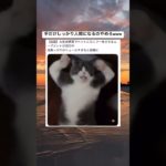 ペットにカンフーをさせるムーブメントが流行中 #shorts#tiktok#twitter#おもしろ#お笑い#おすすめ#ペット#動物#犬#猫#カンフー#AI#生成ai#ai生成#面白い#爆笑#バズれ