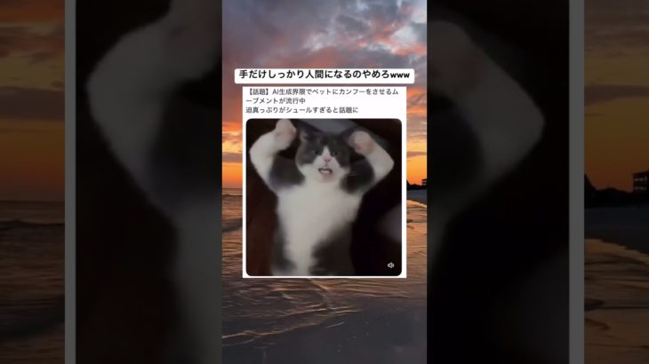 ペットにカンフーをさせるムーブメントが流行中 #shorts#tiktok#twitter#おもしろ#お笑い#おすすめ#ペット#動物#犬#猫#カンフー#AI#生成ai#ai生成#面白い#爆笑#バズれ