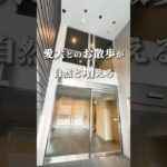 プロが教える新宿の好立地ペット可物件 #ペット可賃貸 #ペット可物件 #東京ペット可賃貸 #東京ペット可物件 #ペット可#ペット共生マンション #ルームツアー #新宿区賃貸#新大久保駅