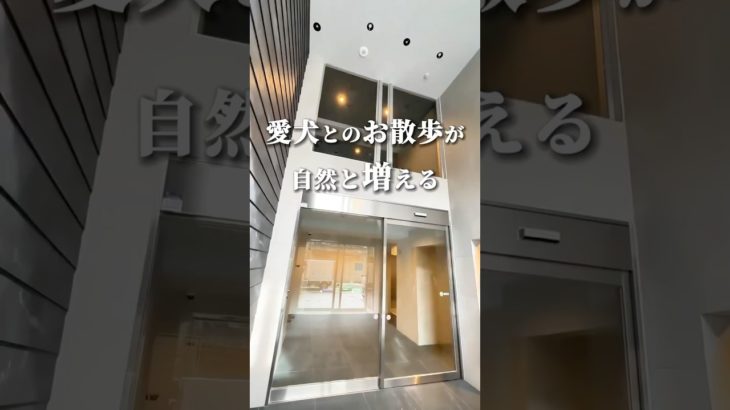 プロが教える新宿の好立地ペット可物件 #ペット可賃貸 #ペット可物件 #東京ペット可賃貸 #東京ペット可物件 #ペット可#ペット共生マンション #ルームツアー #新宿区賃貸#新大久保駅