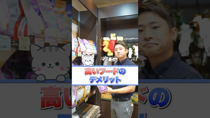 値段が高いキャットフードのデメリット　 #ペットショップ #猫 ＃おすすめ