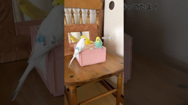 とりあえず呼ぶ