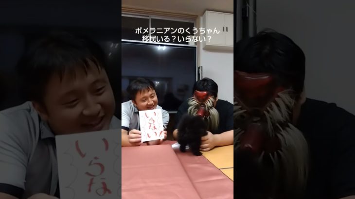 くうちゃんの部屋:いるいらないどっち？#ペット#犬#ポメラニアン#政治#移民#移民問題#日本人ファースト