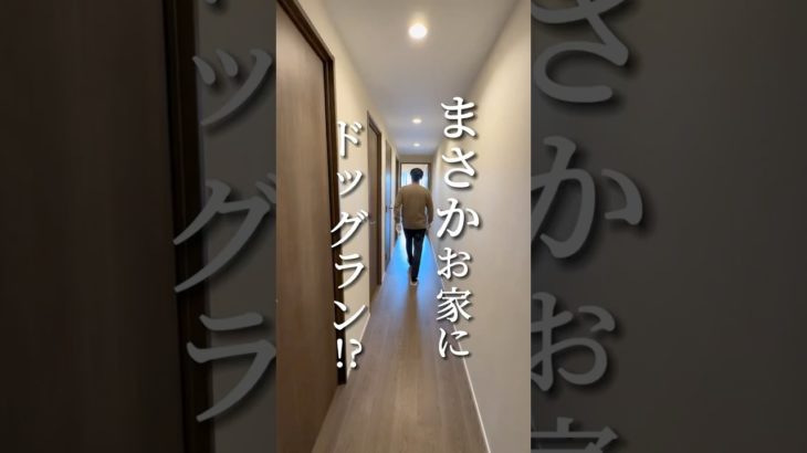 まさかのお家にドッグラン⁈ #ペット可賃貸 #ペット可物件 #東京ペット可賃貸 #東京ペット可物件 #東京ペット可賃貸 #ペット可#ペット共生マンション #ルームツアー #文京区賃貸 #千石駅