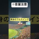 普段テレビから聞くトラッンペット間近で聞いたら迫力エグい #阪神タイガース #甲子園