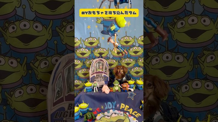 【ペットと行ける韓国料理⁉️】タムタム🐶