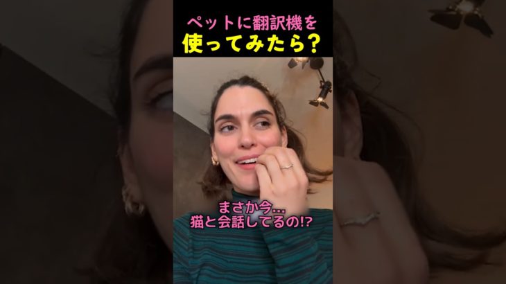 ペットに翻訳機を使ってみたら？