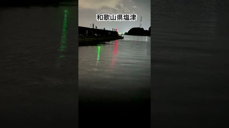 メイクの釣りチャンネル#配信切り抜き#和歌山#塩津#太刀魚#漁師#応援#エール#おもしろ