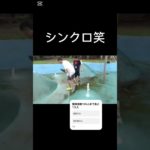 フィッシャーズシルクとンダホのシンクロ