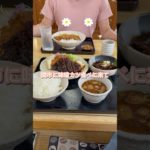 ヤバイものを見つけてしまいました🤭#チワワ #カインズペット撮影会#犬のいる生活