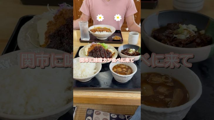 ヤバイものを見つけてしまいました🤭#チワワ #カインズペット撮影会#犬のいる生活