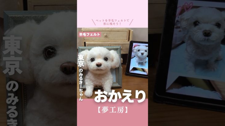 #大切な家族 #羊毛フェルト #愛犬 #愛猫  #ペットは家族 #メモリアル #オーダーメイド作品 #ペットロス #夢工房