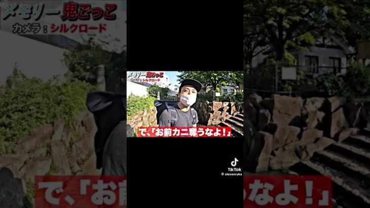 これマジで面白い！#シルクロード #シルク #フィッシャーズ