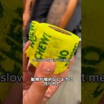 ペットを守る特別な包帯