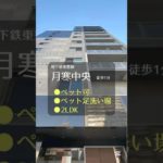 眺めが最高✨でペットの足洗い場まであるお家🐶❤️😸