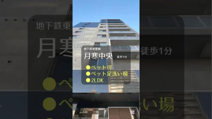 眺めが最高✨でペットの足洗い場まであるお家🐶❤️😸