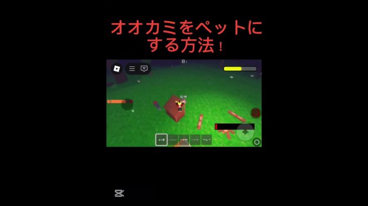 みんなもペットにしよう！！！