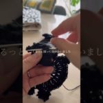 ペットショップで会った真っ黒のトイプードルと真っ黒のシュナちゃん