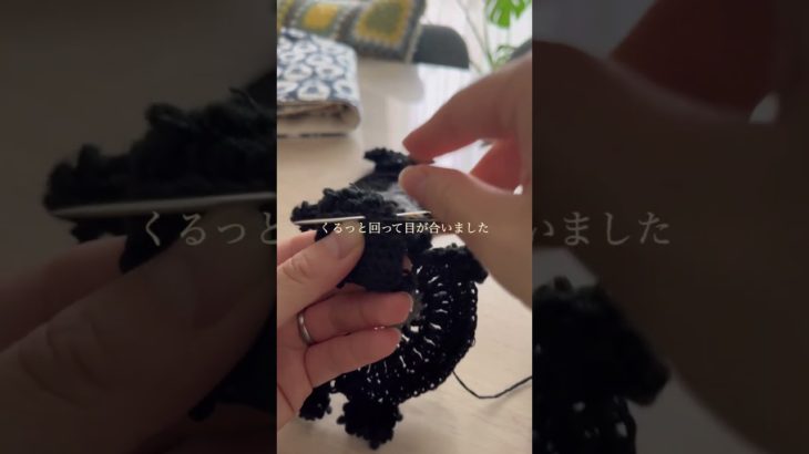 ペットショップで会った真っ黒のトイプードルと真っ黒のシュナちゃん