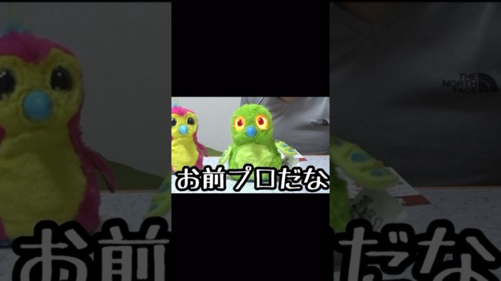 お前プロだな #フィッシャーズ切り抜き #フィッシャーズ #うまれてウーモ