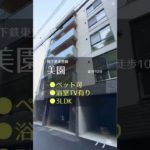 ペットと暮らせる🐶😸❤️森に住んでるみたいなお部屋🌳🌳