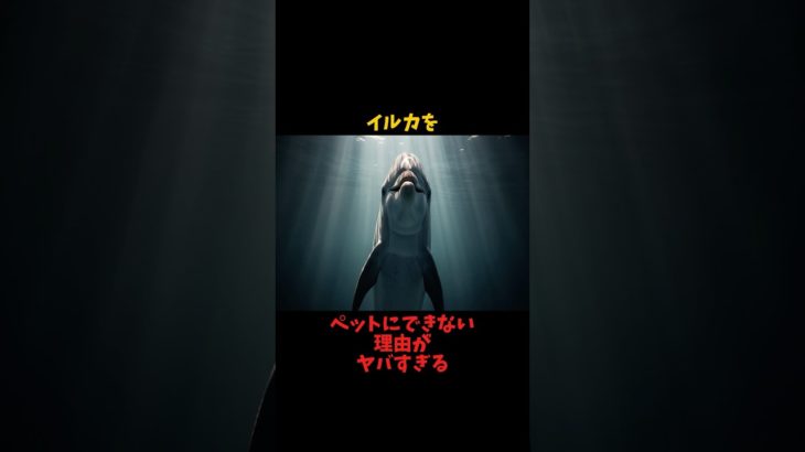 なぜ人類はイルカをペットにできなかったのか？衝撃の理由 #動物雑学 #イルカの秘密 #家畜化できない理由 #最強生物 #水族館の裏側 #雑学ショート